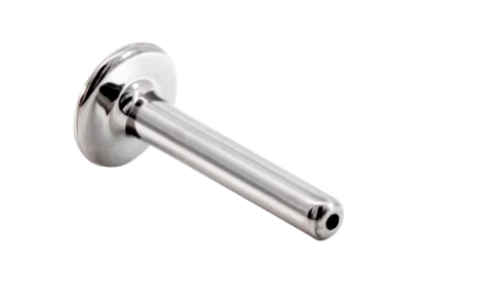 Titanium Allergy in Body Piercing: How Rare Is It and What Should We Do About It
