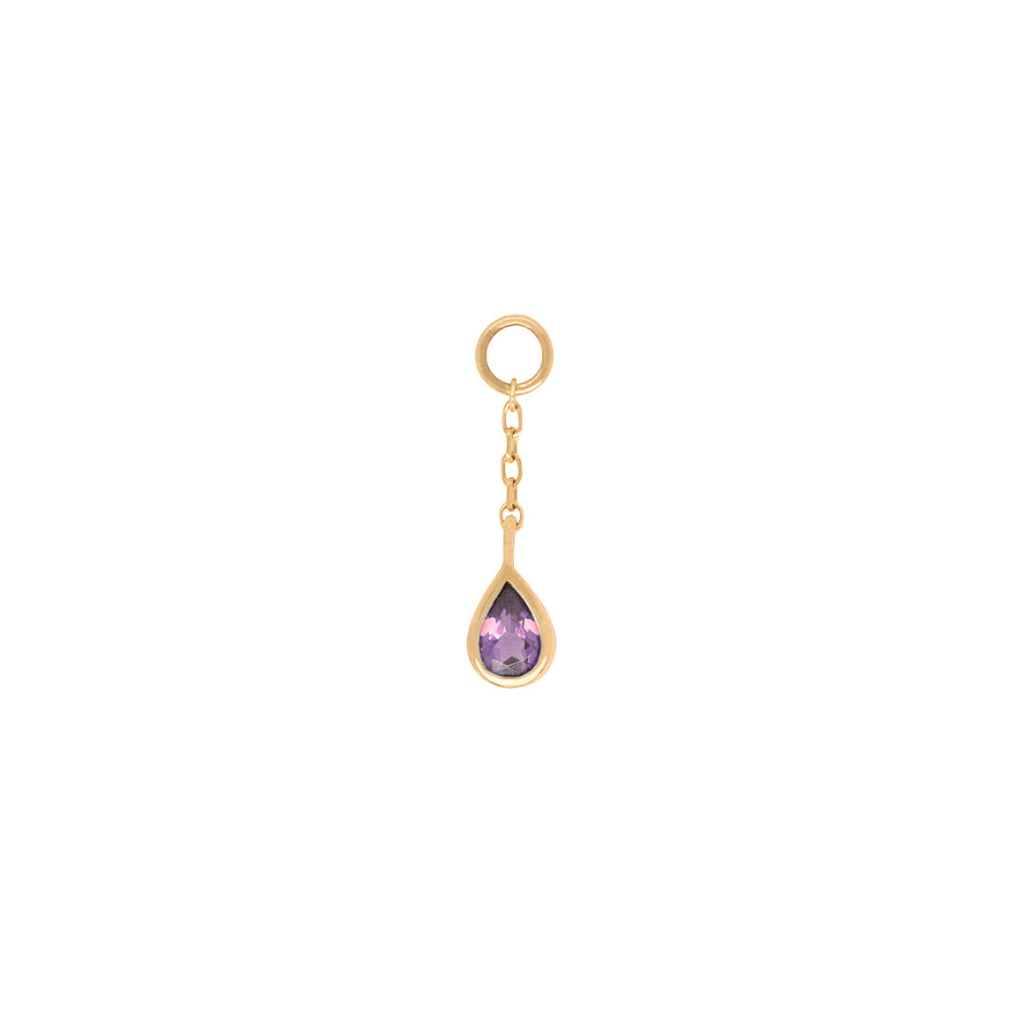 Concorde - Amethyst + Chain - Charm
