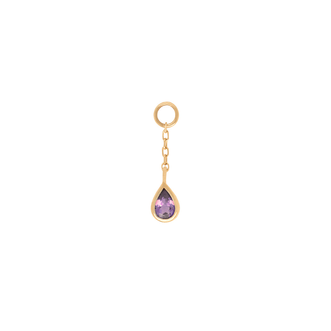 Concorde - Amethyst + Chain - Charm