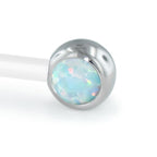 Titanium Cabochon End