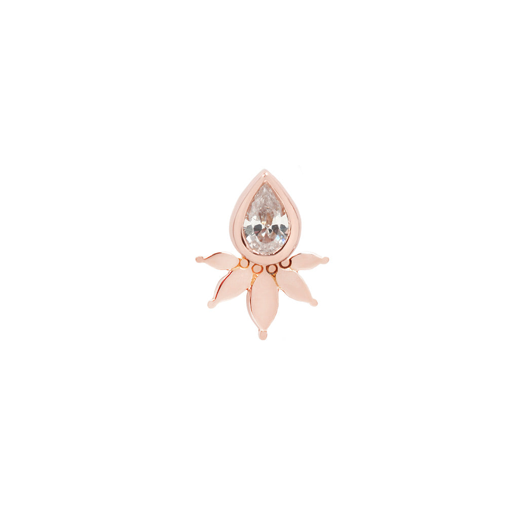 Lavish CZ