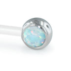 Titanium Cabochon End