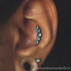 Titanium Bezel Set Gem Cluster - Curved