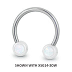 Titanium 16ga Threadless Circular Barbell