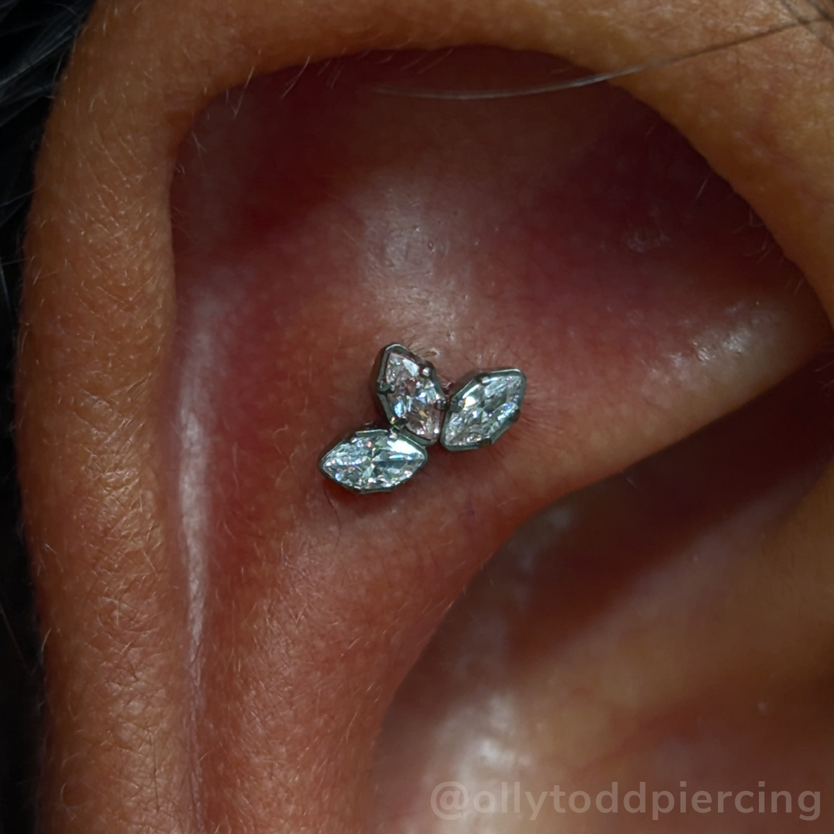 Titanium Marquise Cut Gem Fan Clusters