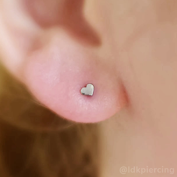 Titanium Heart End