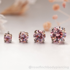Titanium Prong Set Gem