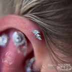 Multiplicity Flat Back Stud with CZ