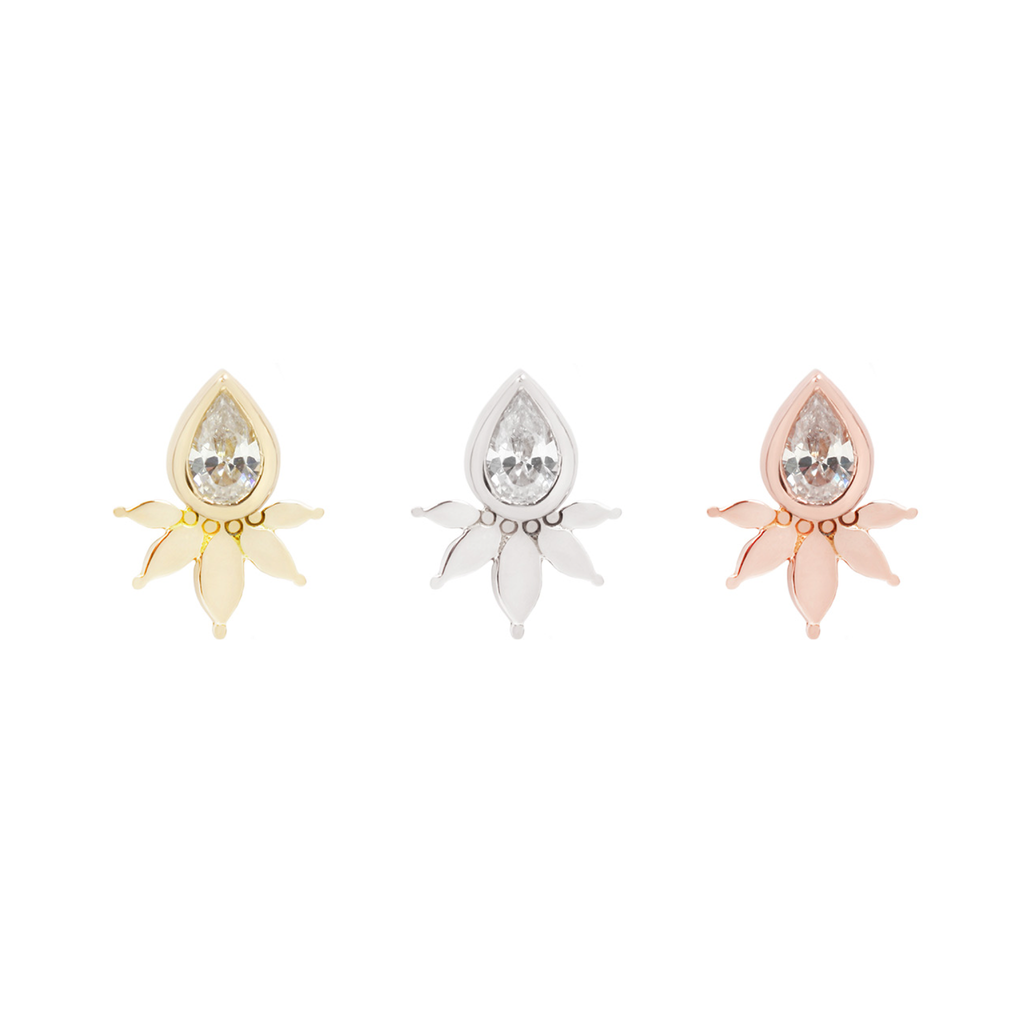 Lavish CZ